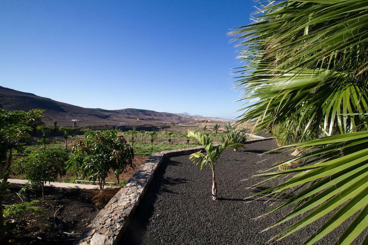 Finca Arbequina Pájara Екстериор снимка